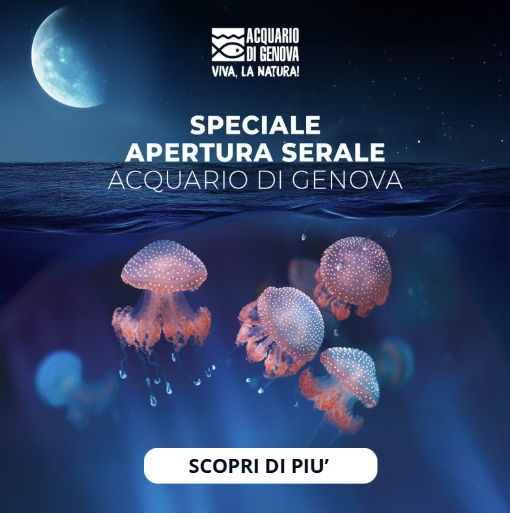 popup serali