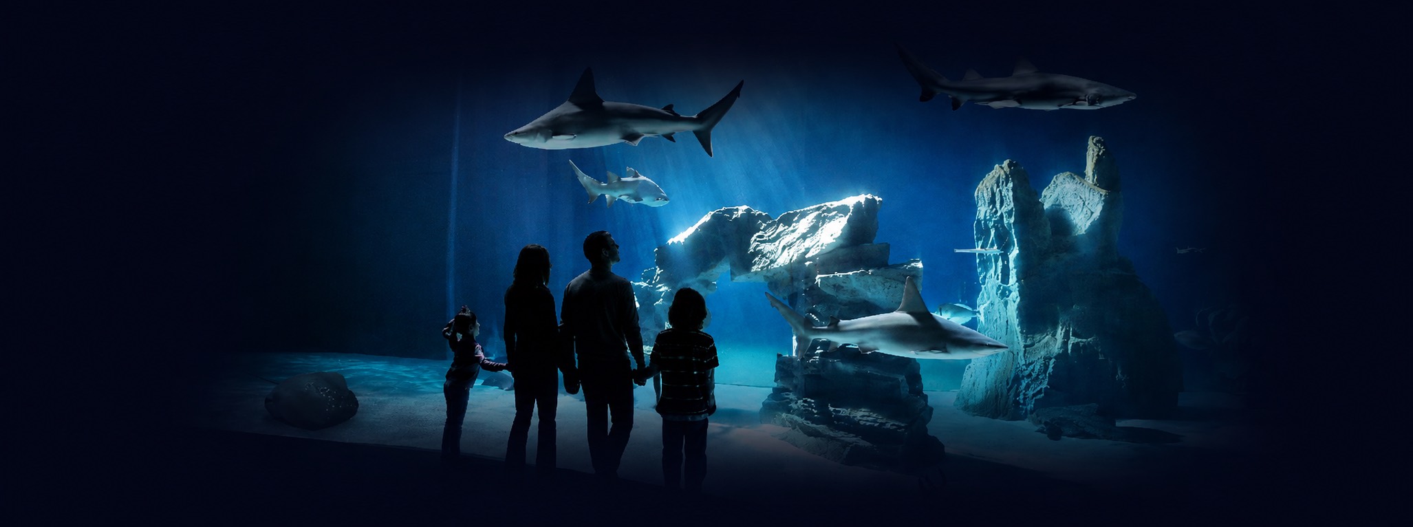 Cosa fare a Genova con bambini Cosa fare a Genova con bambini