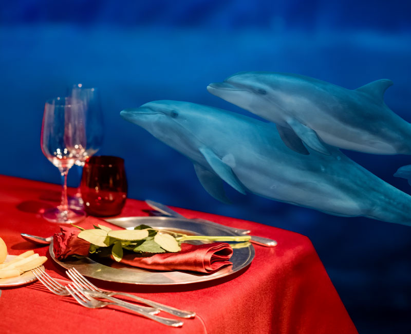 Festeggia San Valentino con una cena romantica