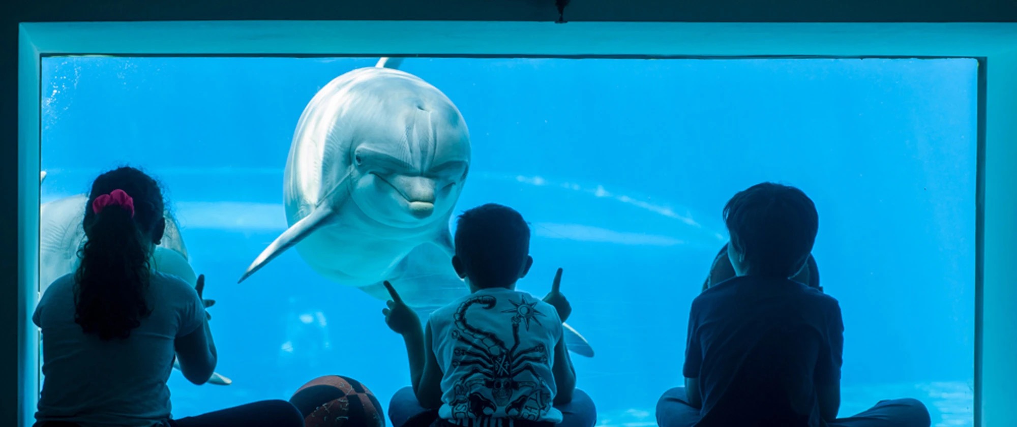 Prima acquisti, meno spendi