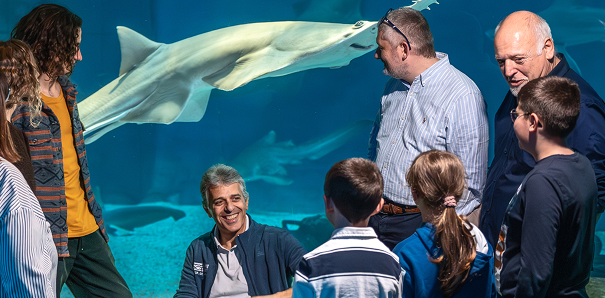 Solo per gruppi di amici e famiglie