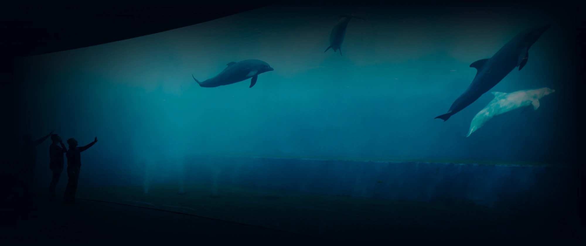 Speciale sconto famiglia: 3° figlio gratis