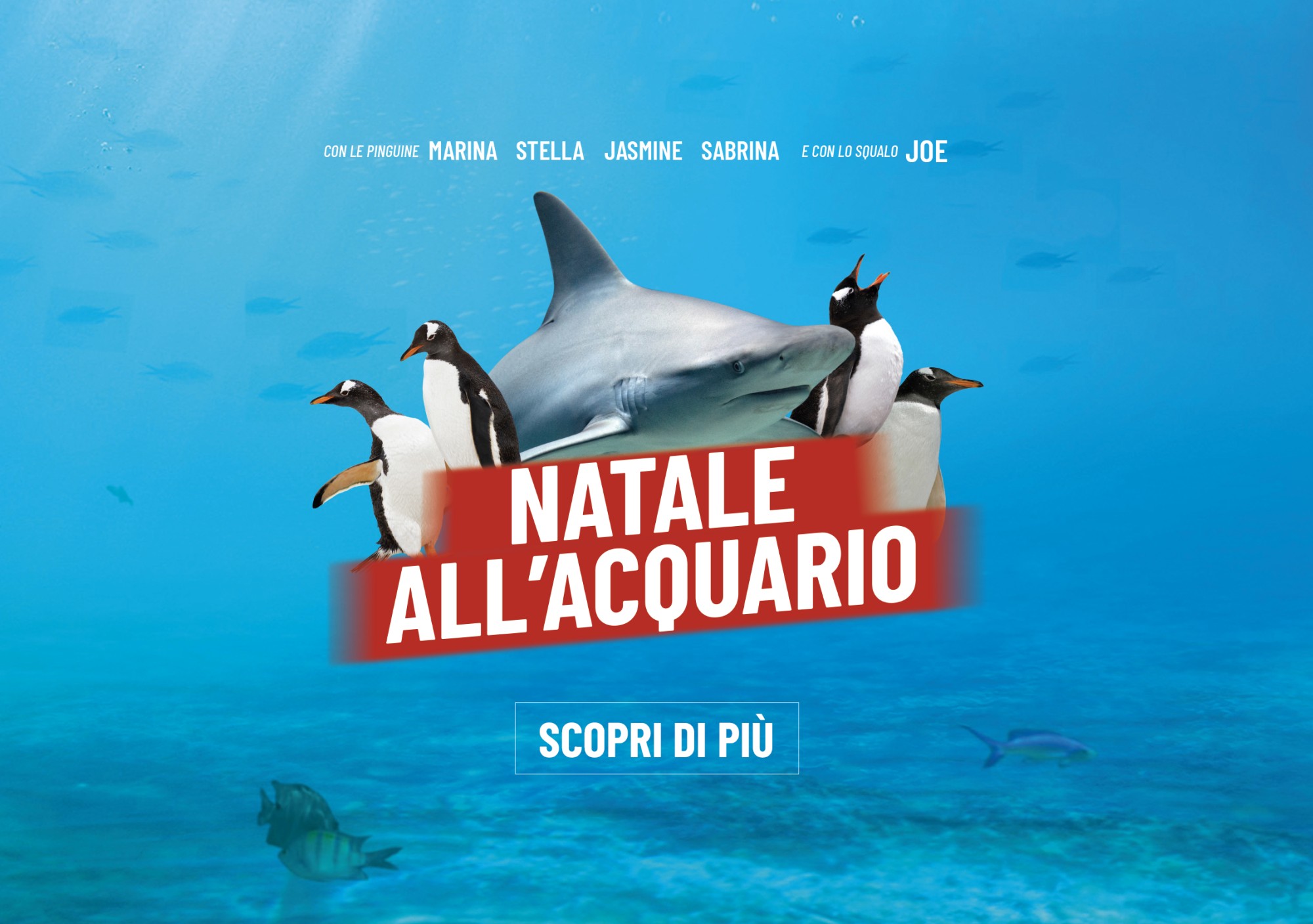 Natale all'Acquario!