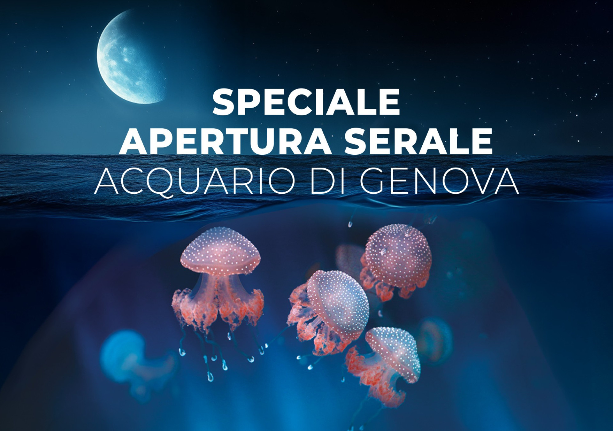 Scopri di più
