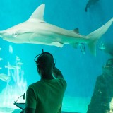 Approfondimenti tematici lungo il percorso di visita in collaborazione con ASdoMAR