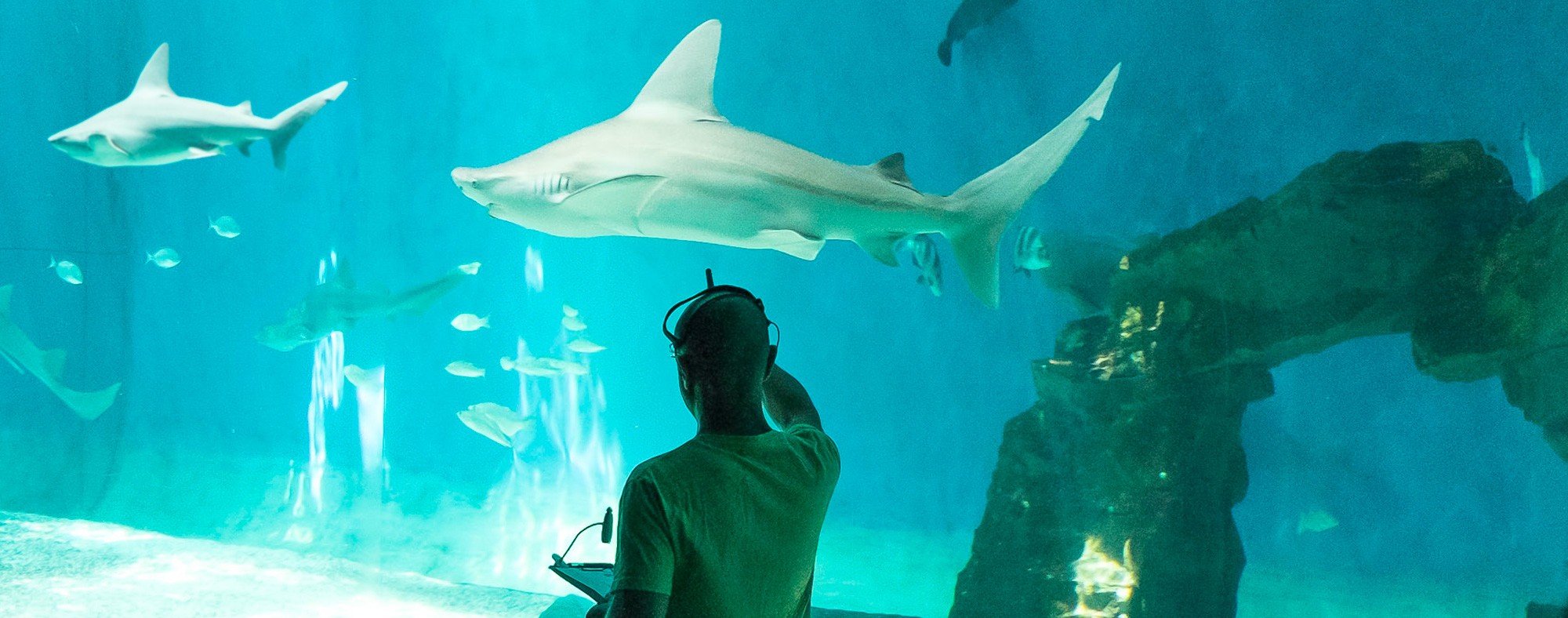 Approfondimenti tematici lungo il percorso di visita in collaborazione con ASdoMAR