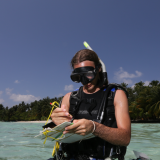 Coralli giganti,<br/>ultima frontiera per salvare gli oceani