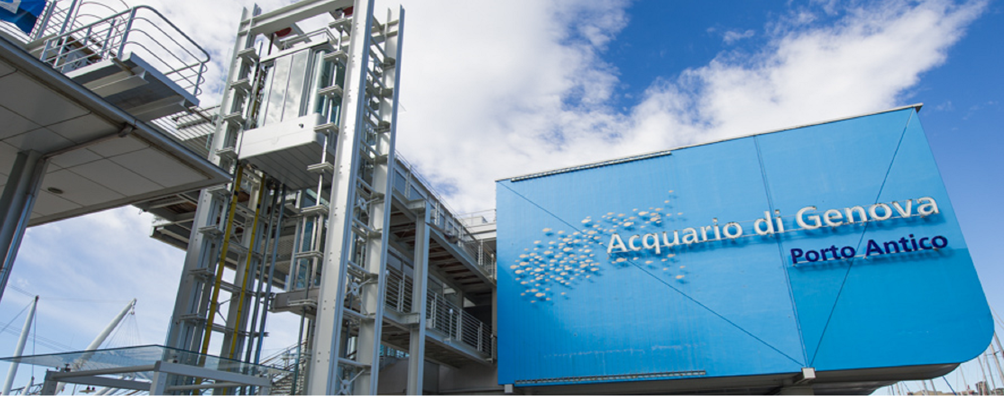 Modalità di accesso<br/> Festività e Ponti