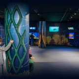 Nuova Sala Aree Marine Protette