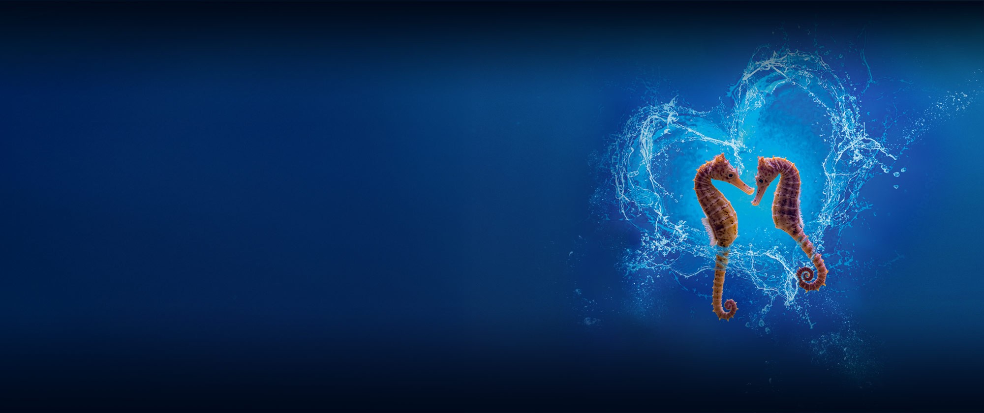 San Valentino all'Acquario di Genova