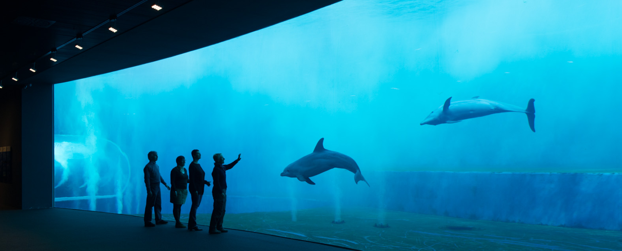 Acquario Di Genova