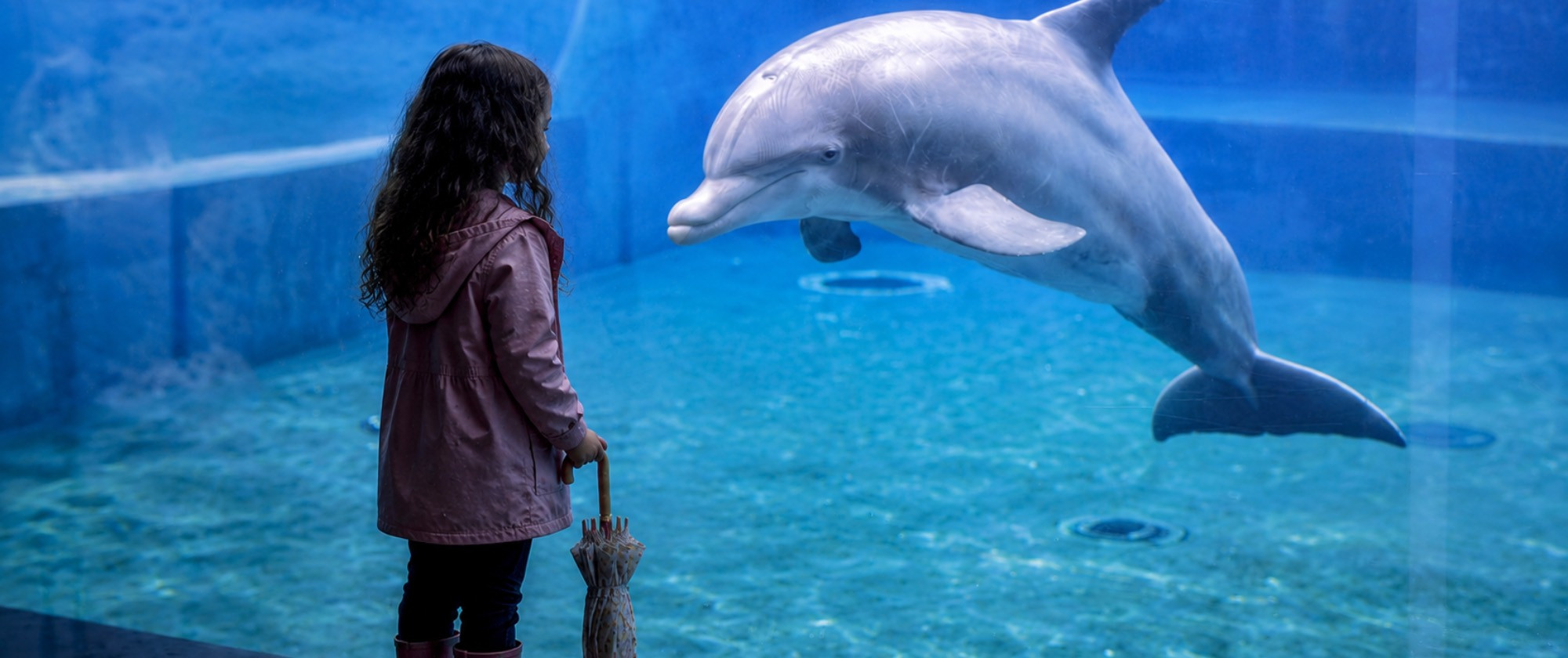 Bambina con impermeabile e ombrello guarda delfino all'Acquario di Genova