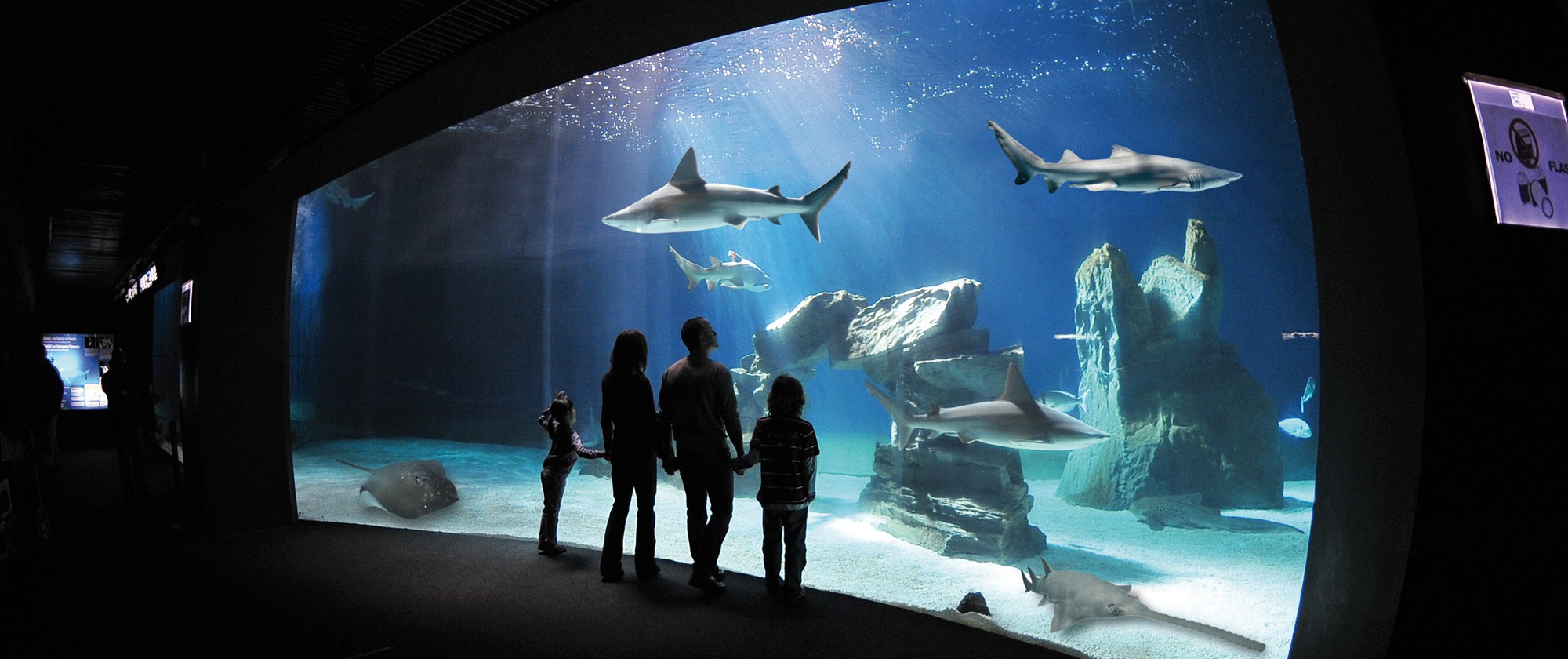Genova's aquarium