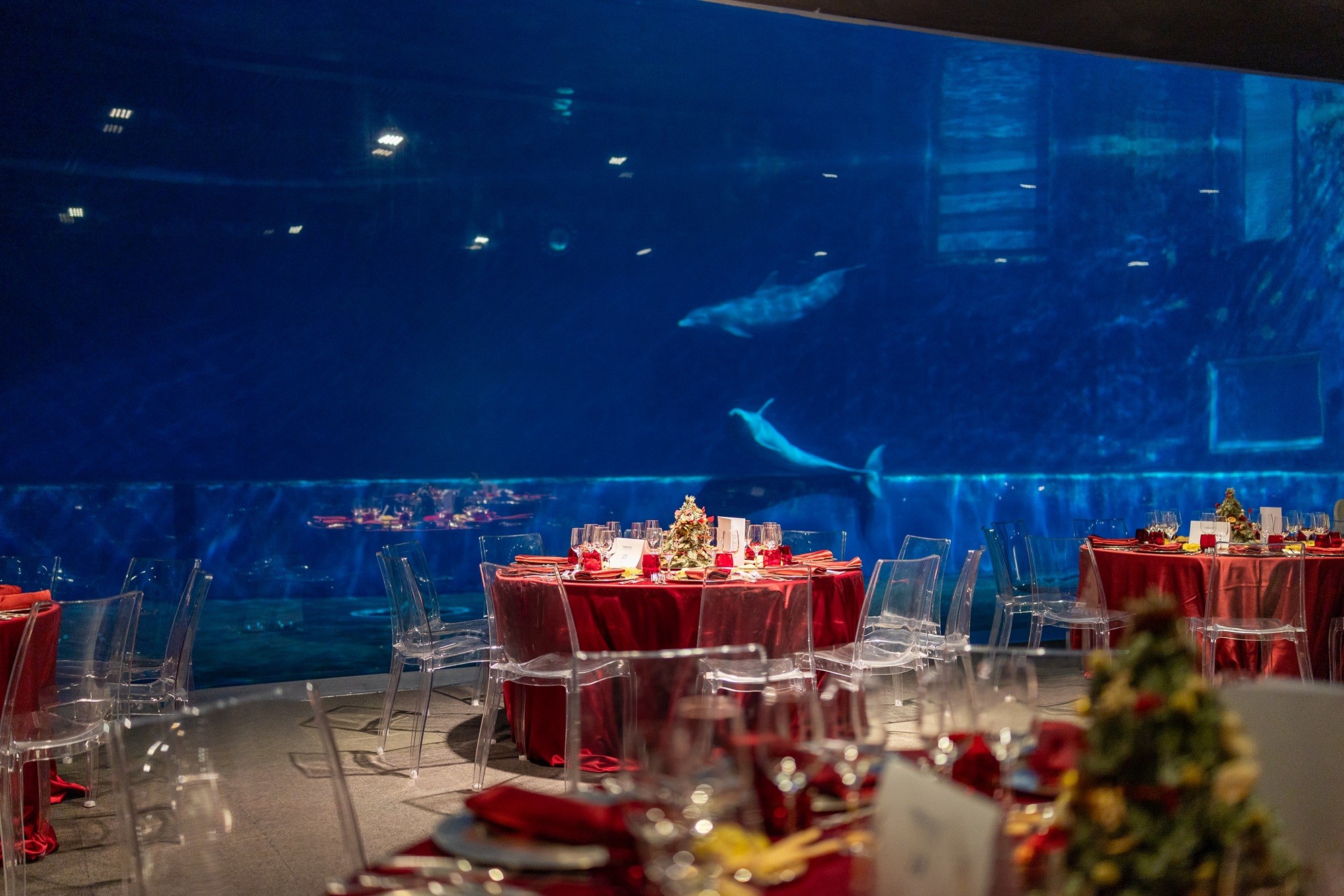 Evening & Exclusive Events